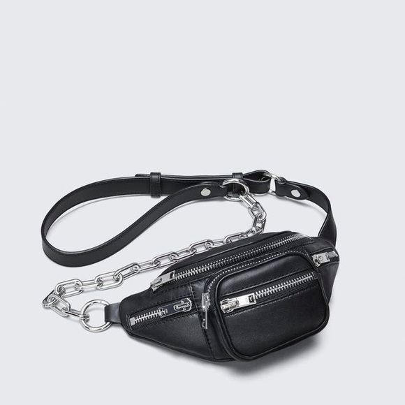 alexander wang mini fanny